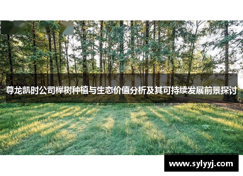 尊龙凯时公司榉树种植与生态价值分析及其可持续发展前景探讨