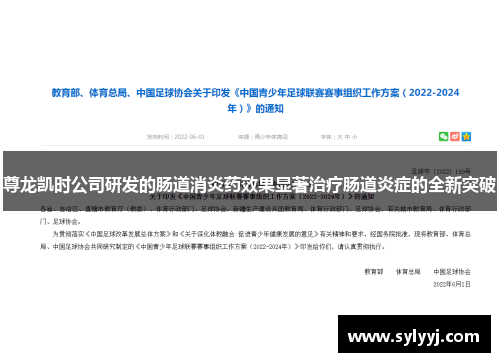 尊龙凯时公司研发的肠道消炎药效果显著治疗肠道炎症的全新突破