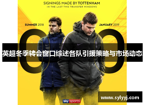 英超冬季转会窗口综述各队引援策略与市场动态
